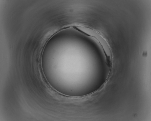 X0000093100001200710101548