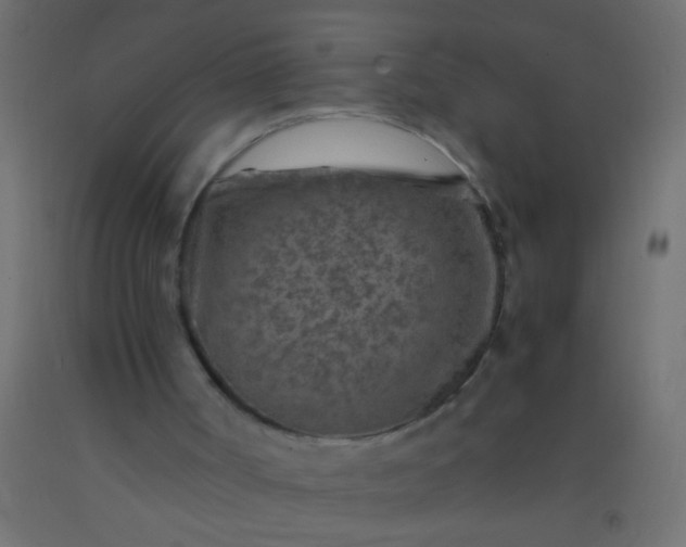 X0000093100002200710101548