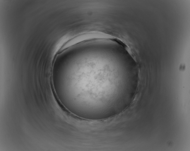 X0000093100003200710101548