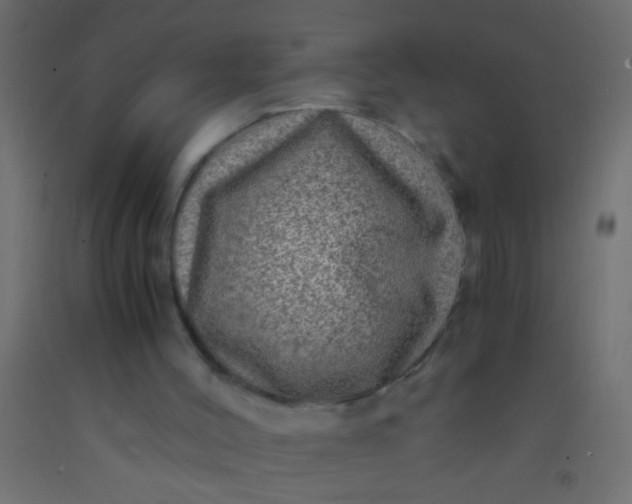 X0000093100004200710101548