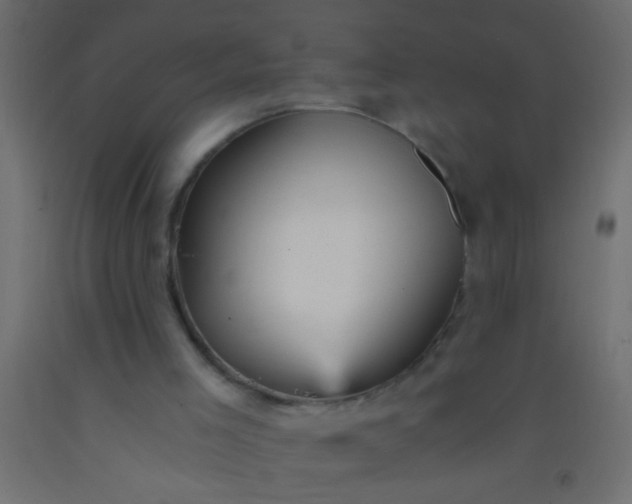 X0000093100005200710101548
