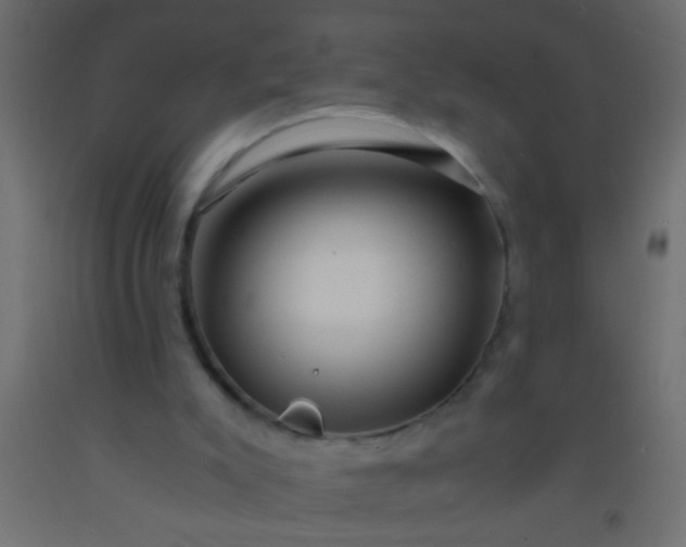 X0000093100007200710101548