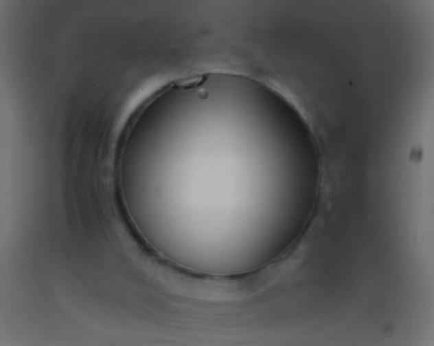 X0000093100008200710101548