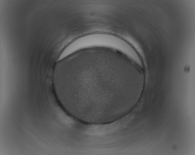 X0000093100009200710101548