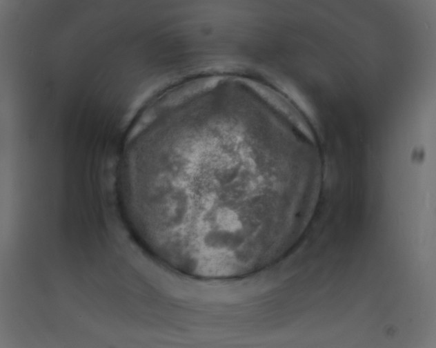 X0000093100010200710101548
