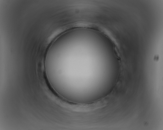 X0000093100011200710101548