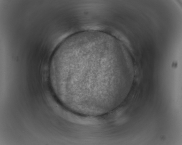 X0000093100012200710101548