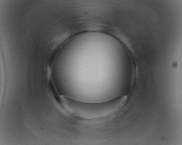 X0000093100013200710101547