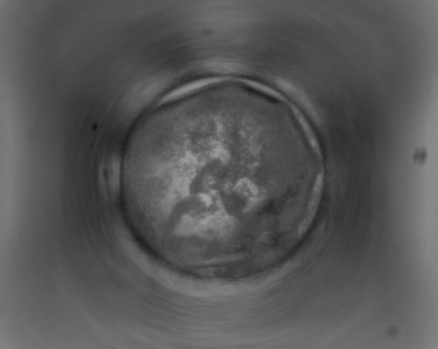 X0000093100014200710101547