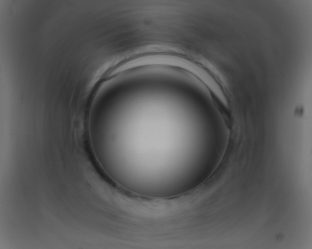 X0000093100015200710101547