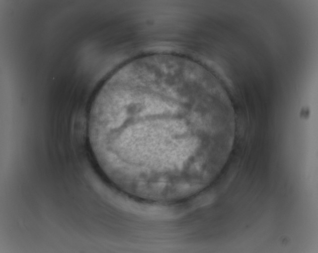 X0000093100016200710101547