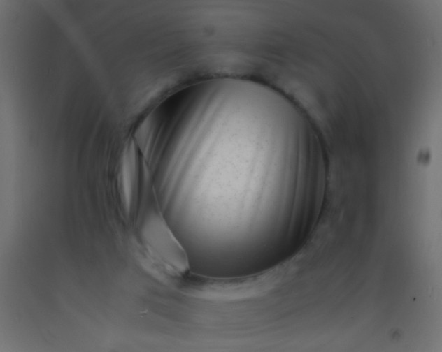 X0000093100017200710101547