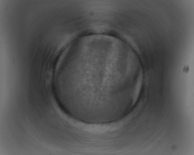 X0000093100018200710101547