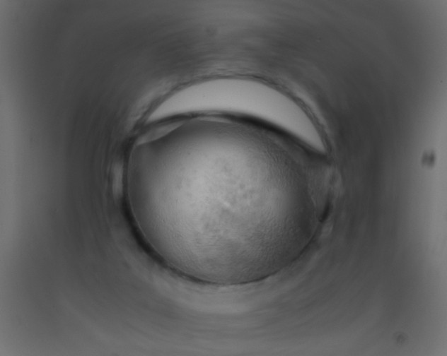 X0000093100019200710101547