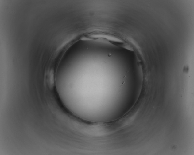 X0000093100020200710101547