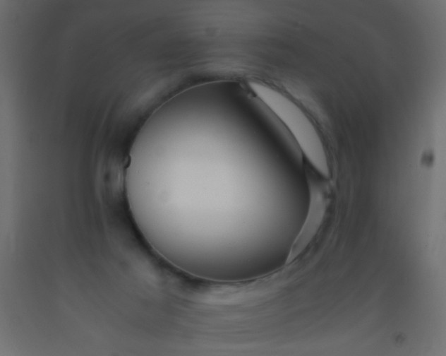 X0000093100021200710101547