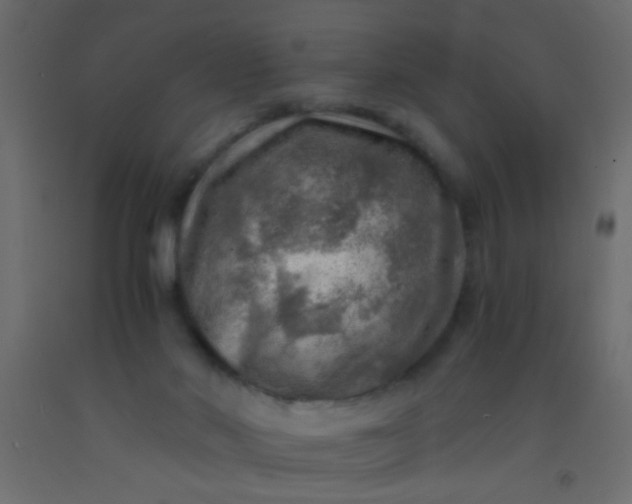 X0000093100022200710101547