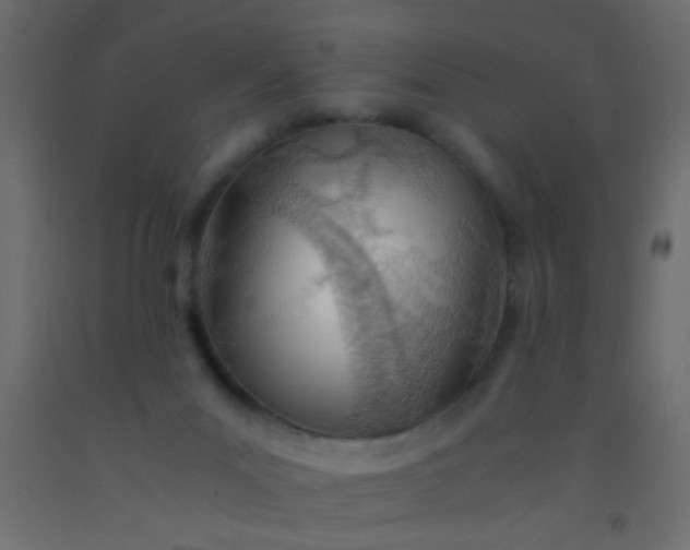 X0000093100023200710101547