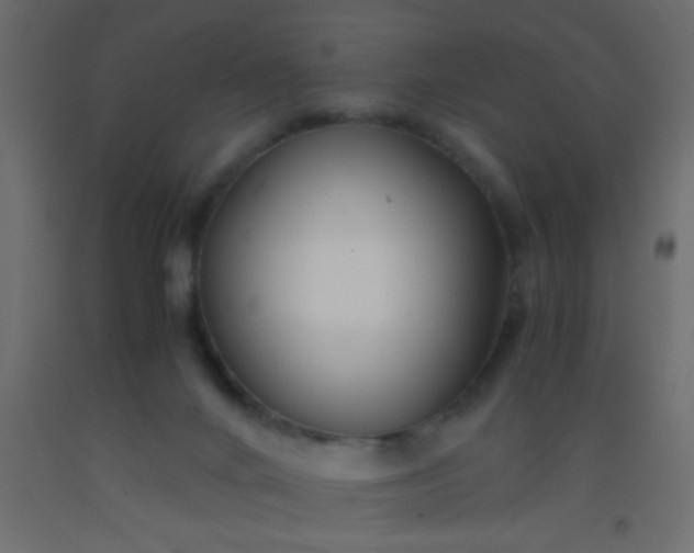 X0000093100024200710101547