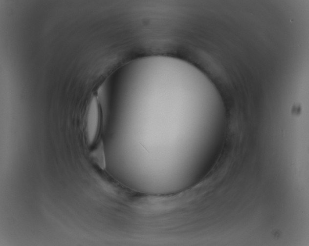 X0000093100025200710101547
