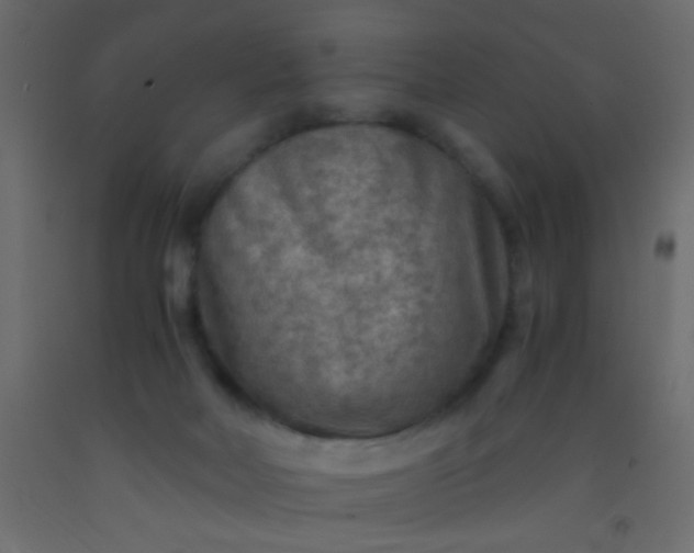 X0000093100026200710101547