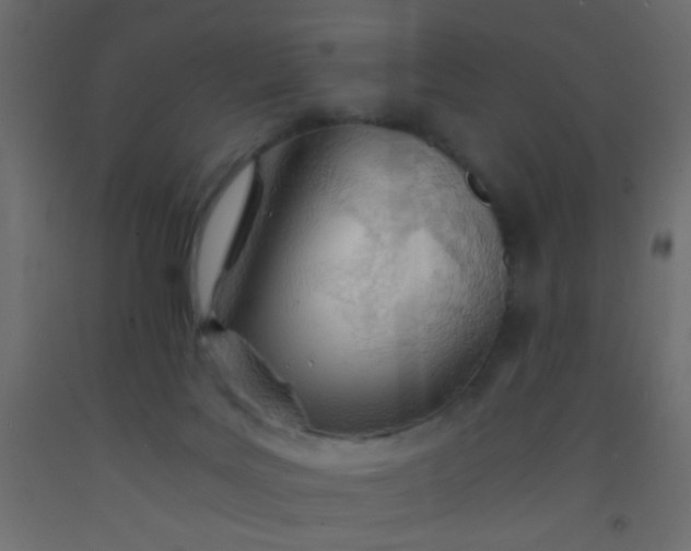 X0000093100027200710101547