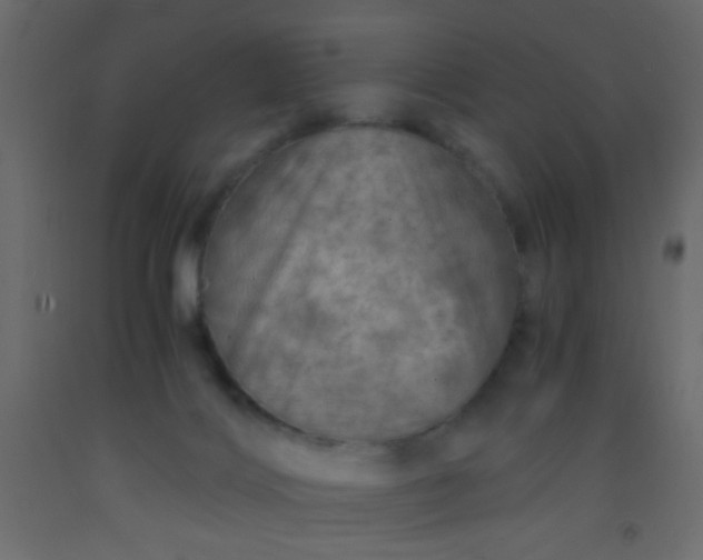 X0000093100028200710101547
