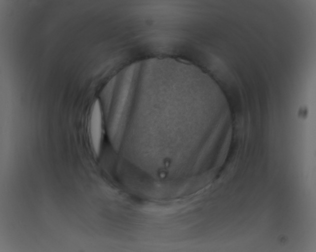 X0000093100029200710101547