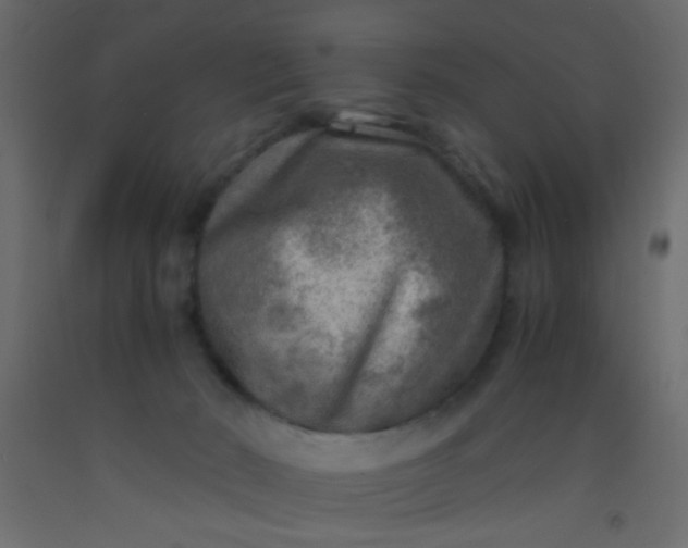 X0000093100030200710101547