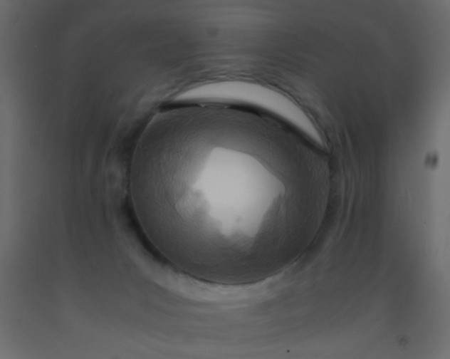 X0000093100031200710101547
