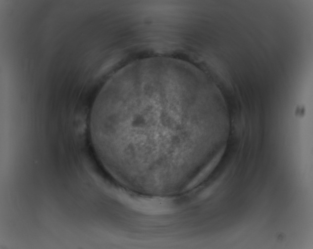 X0000093100032200710101547
