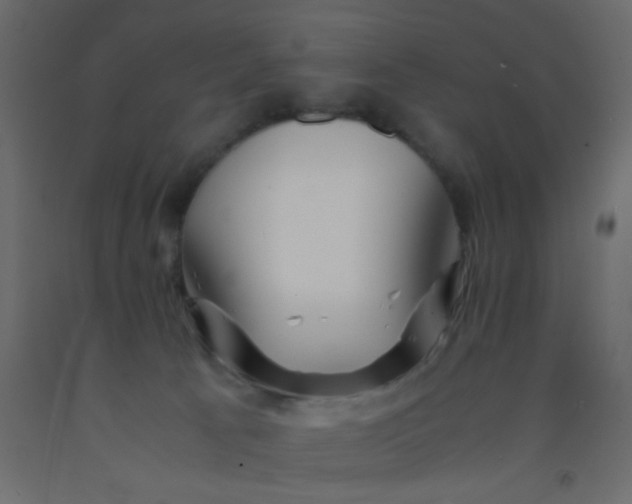 X0000093100033200710101547