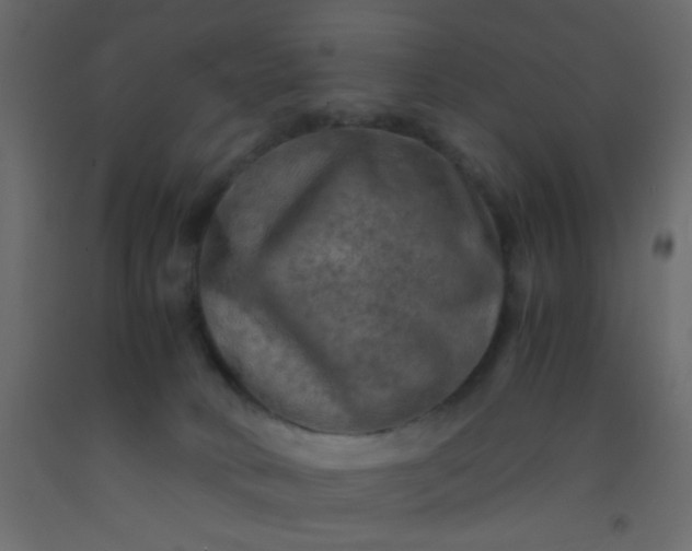 X0000093100034200710101547