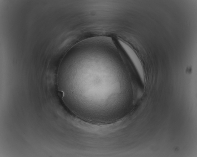 X0000093100035200710101547