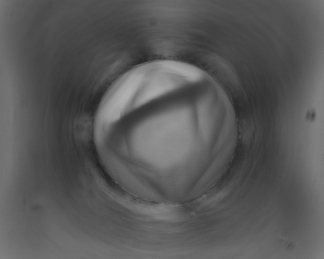 X0000093100036200710101547
