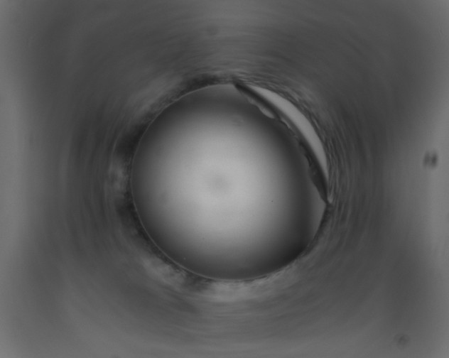 X0000093100037200710101547