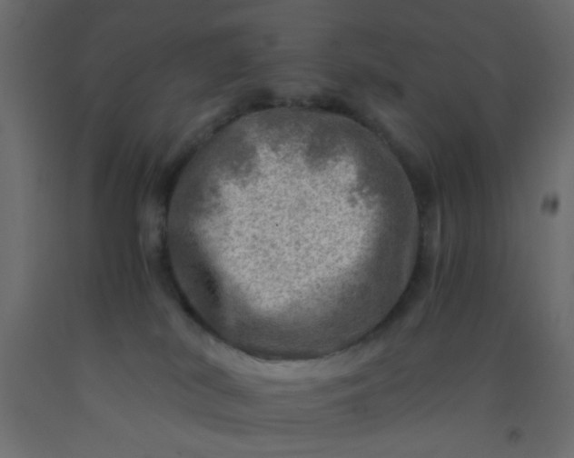 X0000093100038200710101547