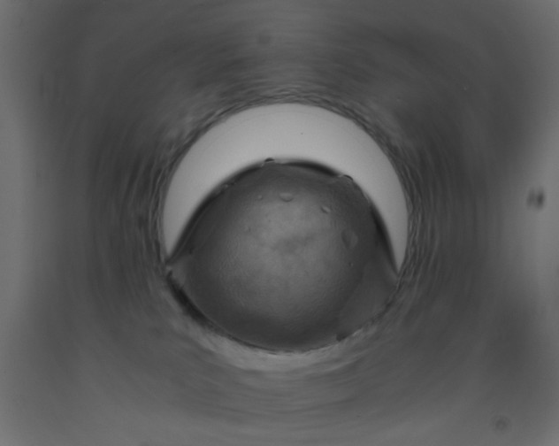 X0000093100039200710101547