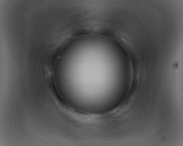 X0000093100040200710101547