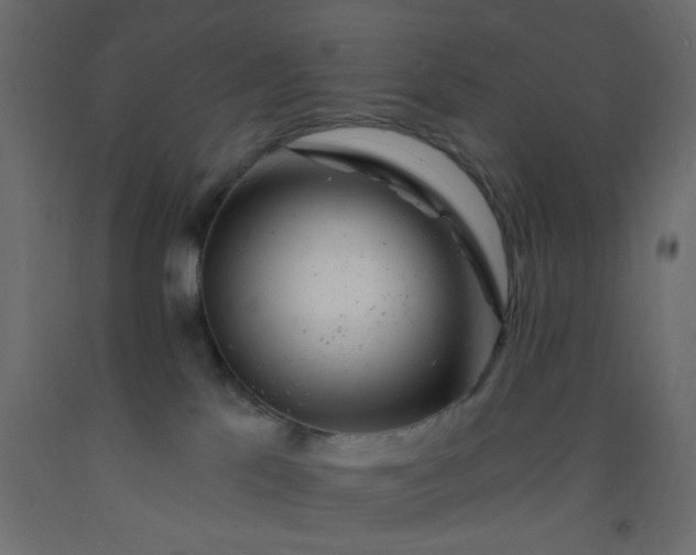 X0000093100041200710101547