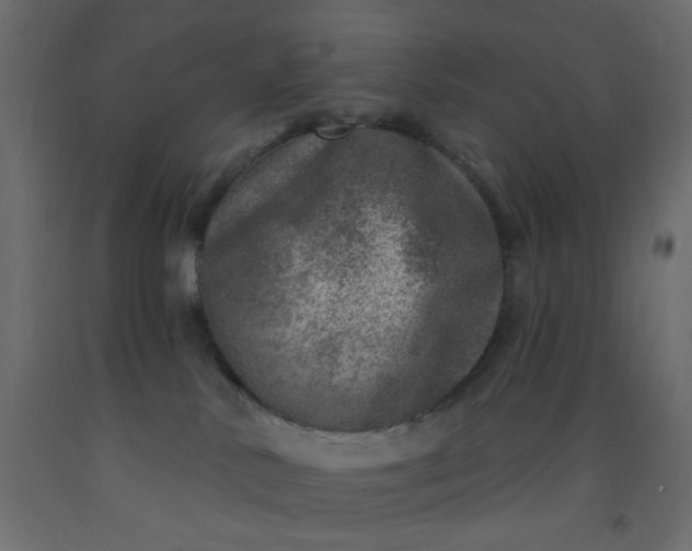 X0000093100042200710101547
