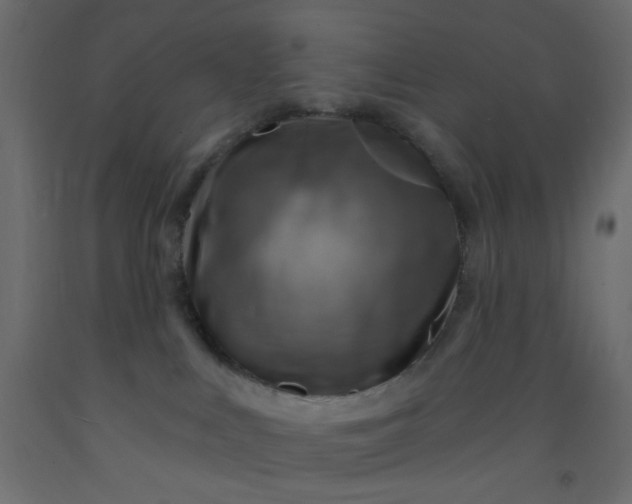 X0000093100043200710101547