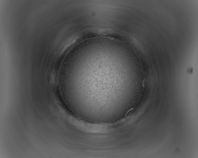 X0000093100044200710101547