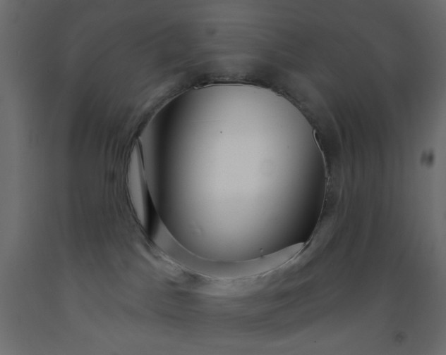 X0000093100045200710101547