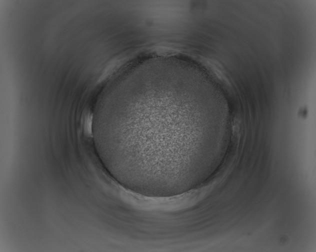 X0000093100046200710101547