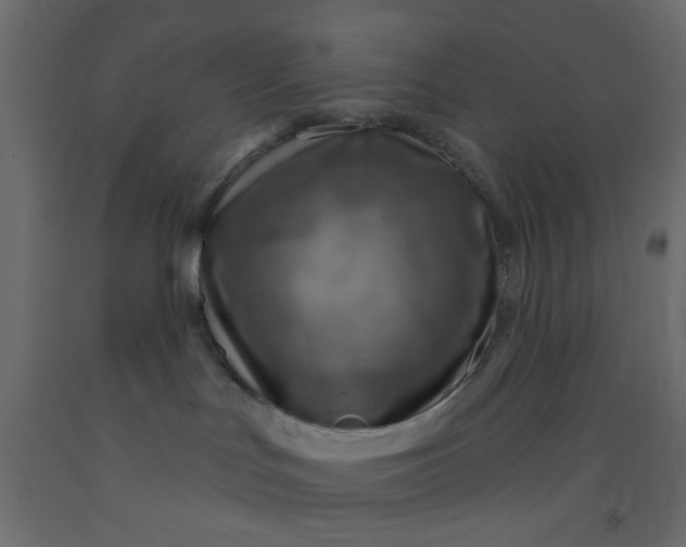 X0000093100047200710101547