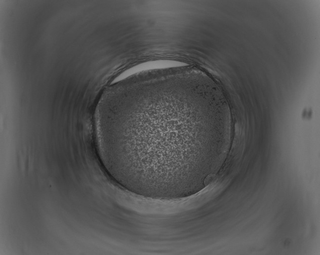 X0000093100048200710101547