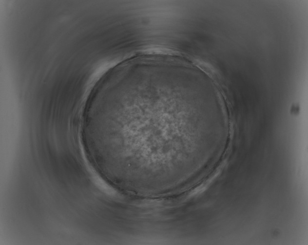 X0000093100049200710101546