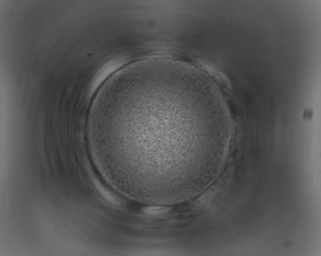 X0000093100051200710101546