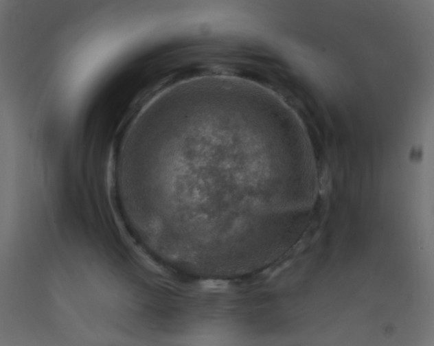 X0000093100052200710101546